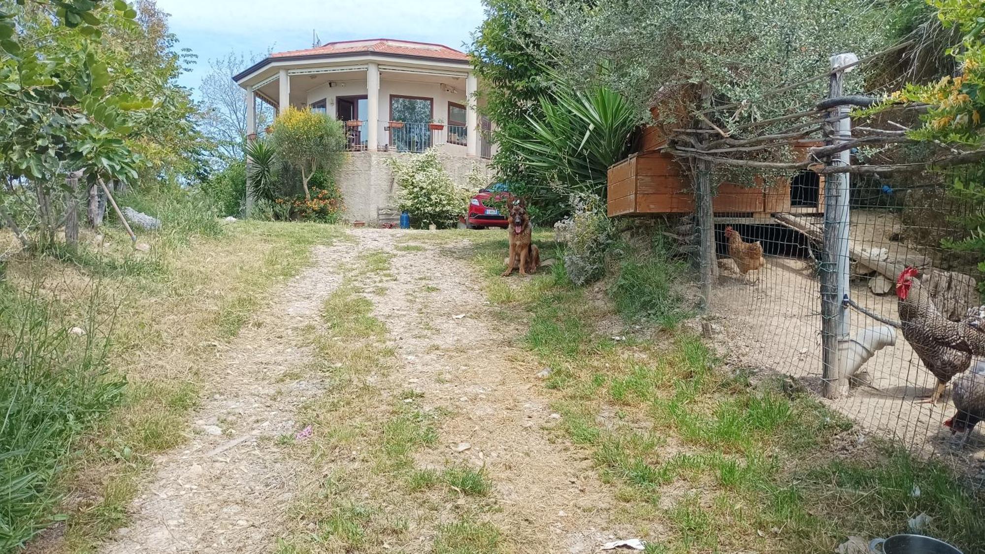 Palapico Hotel Bonifati Exterior foto